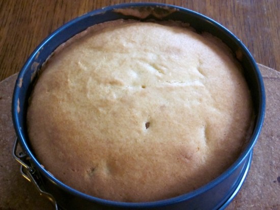 Cinnamon Raisin Butter Cake myfavouritepastime.com