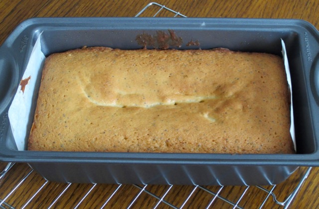 Lemon, Lime and Poppy Seed Cake myfavouritepastime.com