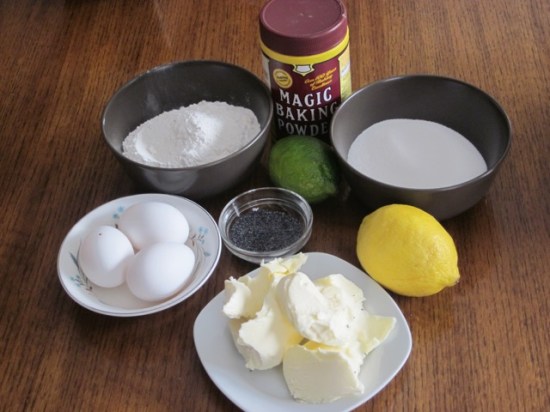 Lemon, Lime and Poppy Seed Cake myfavouritepastime.com