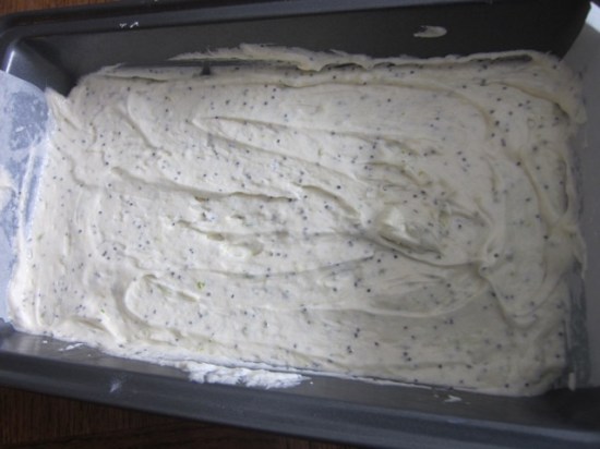 Lemon, Lime and Poppy Seed Cake myfavouritepastime.com