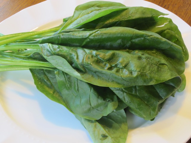 Flat or smooth leaf spinach myfavouritepastime.com