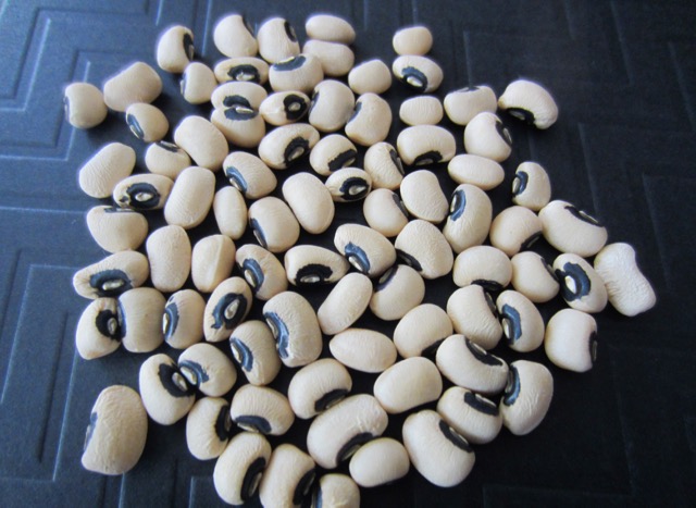 Black Eyed Pea (Cowpea) myfavouritepastime.com