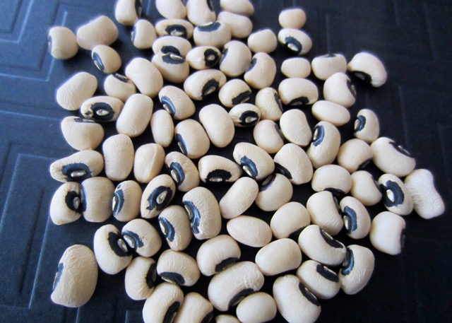 Black Eyed Pea (Cowpea) myfavouritepastime.com