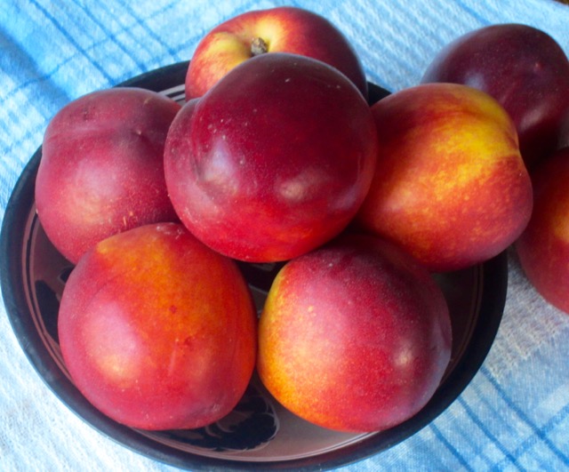 Nectarine myfavouritepastime.com