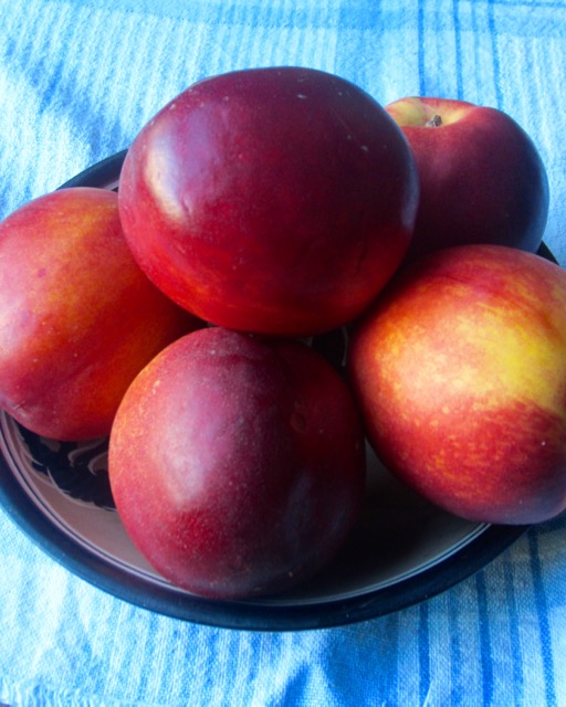 Nectarine myfavouritepastime.com Nectarine myfavouritepastime.com