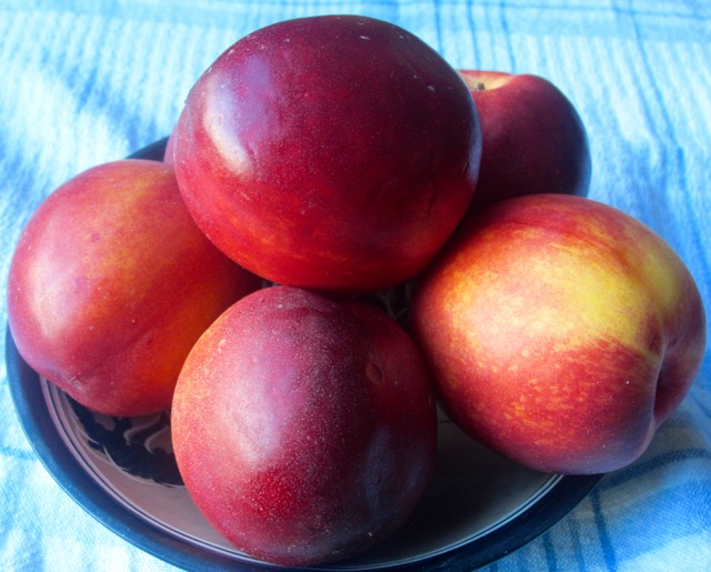 Nectarine myfavouritepastime.com Nectarine myfavouritepastime.com