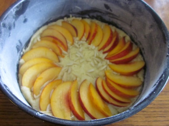 Peach and Almond Cake myfavouritepastime.com