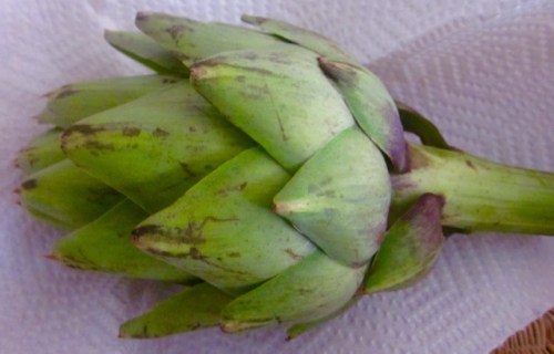 Globe Artichoke myfavouritepastime.com