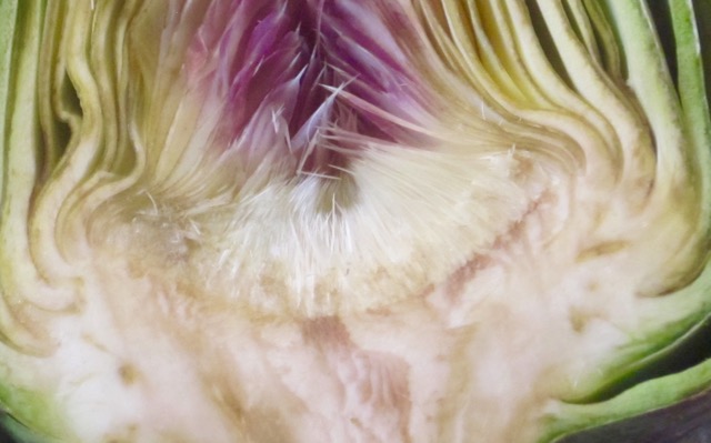 Globe Artichoke myfavouritepastime.com