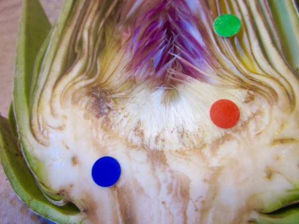 Globe Artichoke myfavouritepastime.com