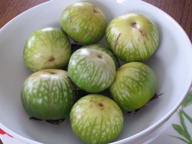What is Thai Eggplant?  My Favourite Pastime