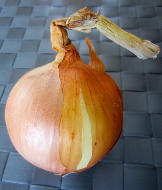 Brown Onion myfavouritepastime.com