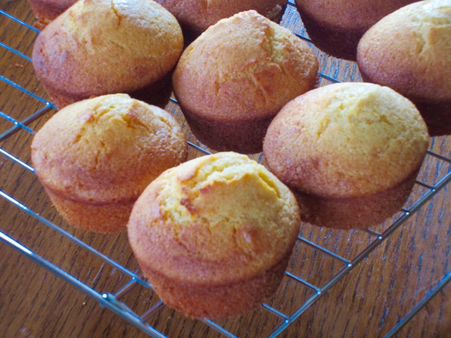 Honey Cornmeal Muffins myfavouritepastime.com