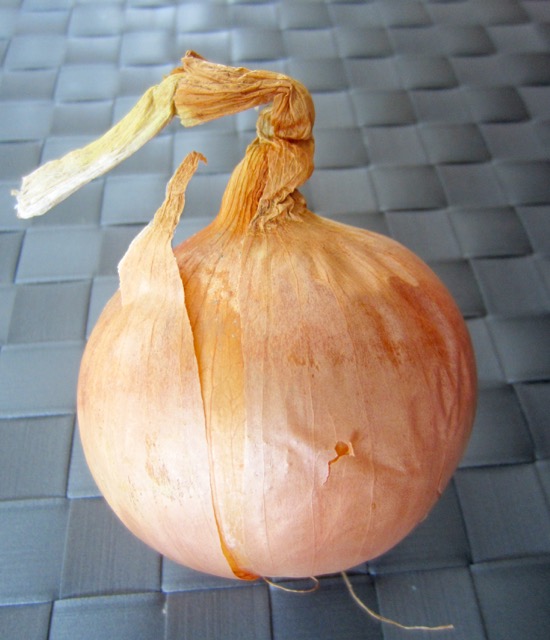 Brown Onion myfavouritepastime.com