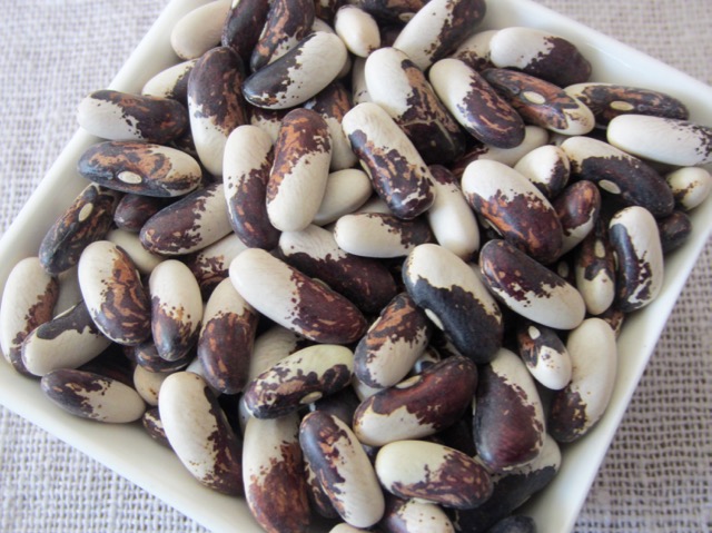 Appaloosa Beans myfavouritepastime.com