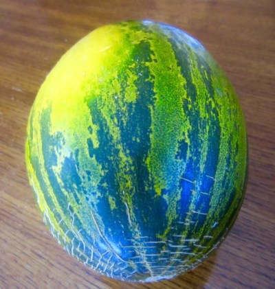 Piel de Sapo (Santa Claus Melon) myfavouritepastime.com