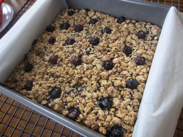 Blueberry Oatmeal Cookie Bars myfavouritepastime.com