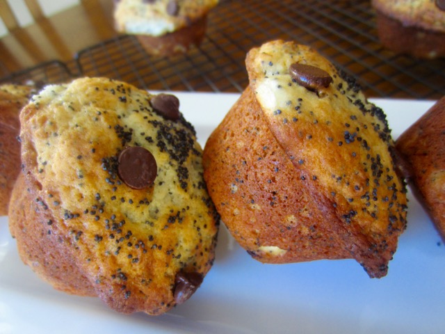 Lemon Poppy Seed Chocolate Chip Muffins myfavoouritepastime.com