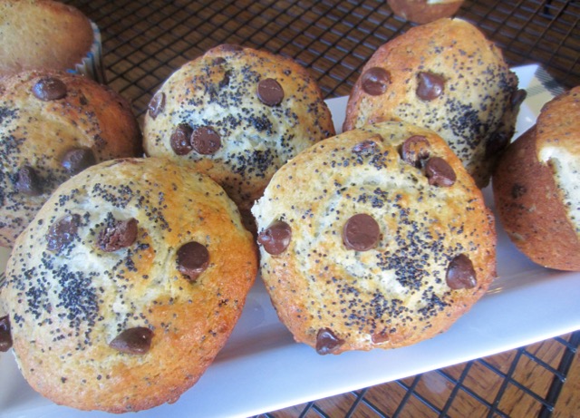 Lemon Poppy Seed Chocolate Chip Muffins myfavoouritepastime.com
