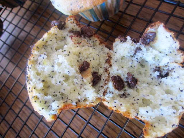 Lemon Poppy Seed Chocolate Chip Muffins myfavoouritepastime.com