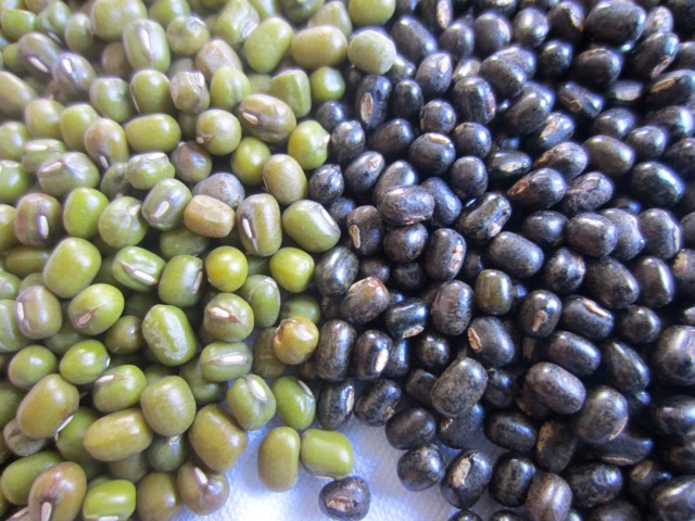 Green Gram (Moong, Mung Dal) and Black Gram (Urad Dal) myfavouritepastime.com