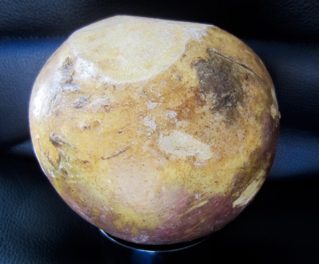 Rutabaga myfavouritpastime.com