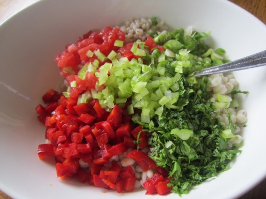 Pearl Barley Tomato and Apple Salad myfavouritepastime.com