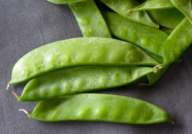 Snow Pea myfavouritepastime.com