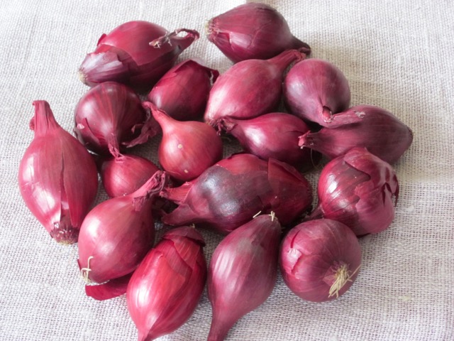 Red Pearl Onions myfavouritepastime.com