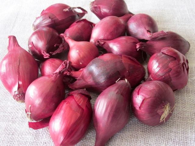 Red Pearl Onions myfavouritepastime.com