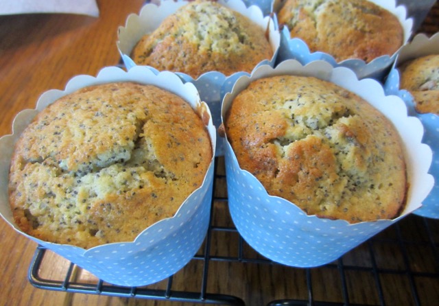 Date and Poppy Seed Muffins myfavouritpastime.com