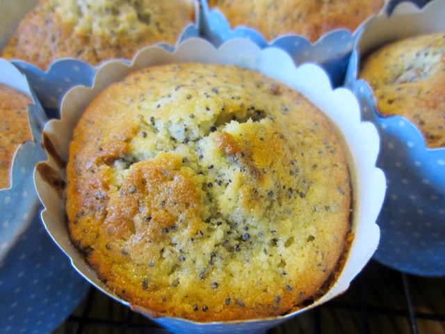 Date and Poppy Seed Muffins myfavouritpastime.com