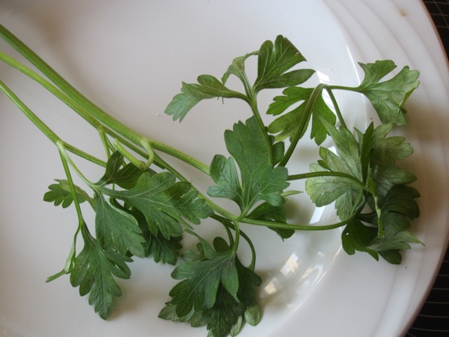 Parsley myfavouritepastime.com