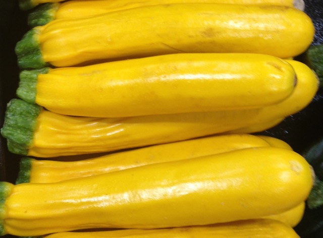 Golden Zucchini myfavouritepastime.com Golden Zucchini myfavouritepastime.com