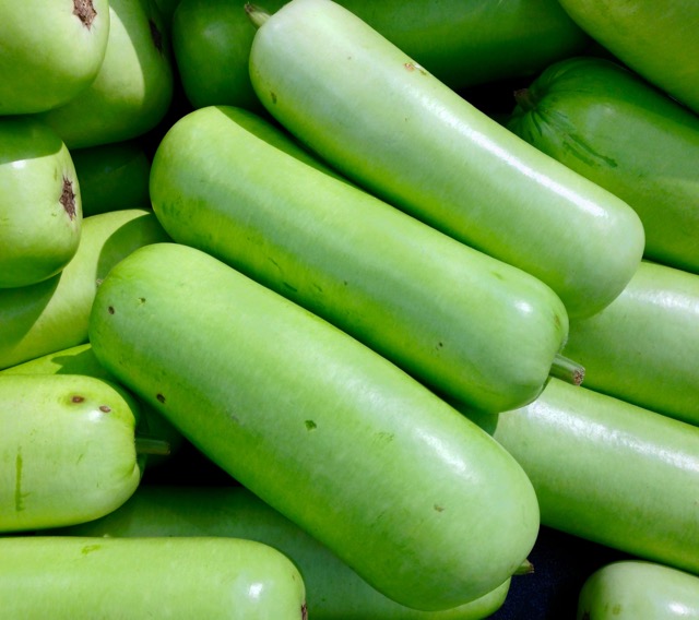 What is Long Squash myfavouritepastime.com