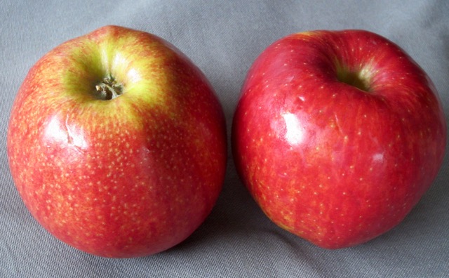 The Red Prince Apple myfavouritepastime.com