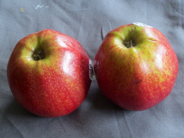 The Red Prince Apple myfavouritepastime.com