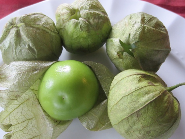 Tomatillo myfavouritepastime.com Tomatillo myfavouritepastime.com