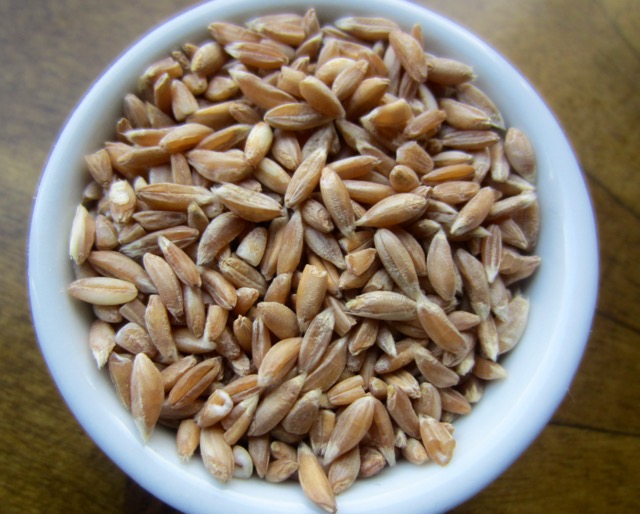 Organic Farro, semi-pearled myfavouritepastime.com
