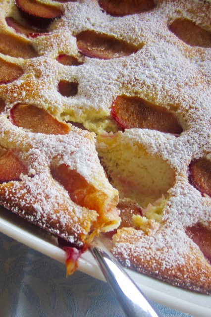 French Plum Clafoutis myfavouritepastime.com