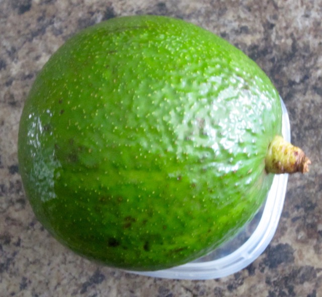 Bruce Avocado myfavouritepastime.com