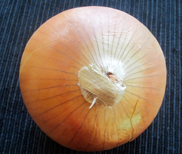 Vidalia Onion myfavouritepastime.com