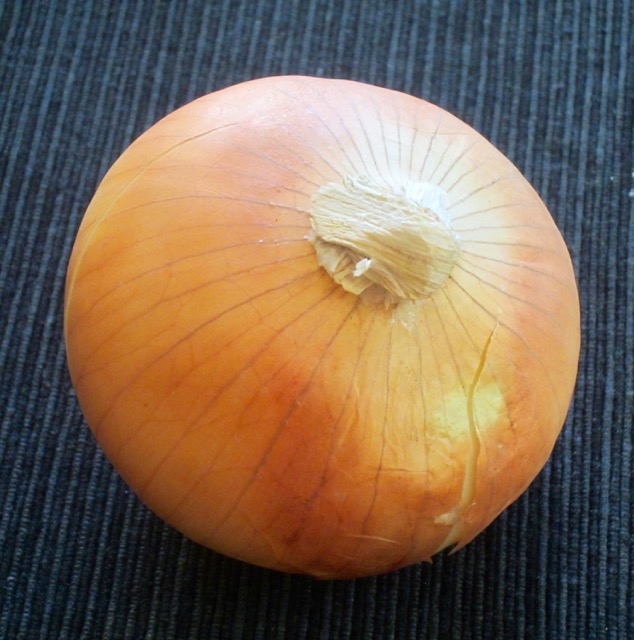 Vidalia Onion myfavouritepastime.com