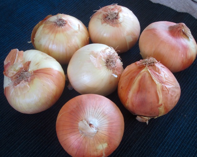 Vidalia Onion myfavouritepastime.com