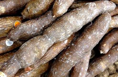 Cassava (Yucca Wax) myfavouritepastime.com Cassava (Yucca Wax) myfavouritepastime.com