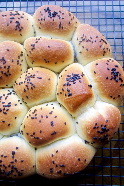 Sesame Filled Buchty (Sweet Buns) myfavouritepastime.com