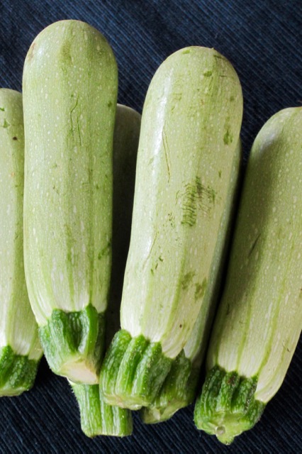 Grey Zucchini myfavouritepastime.com Grey Zucchini myfavouritepastime.com